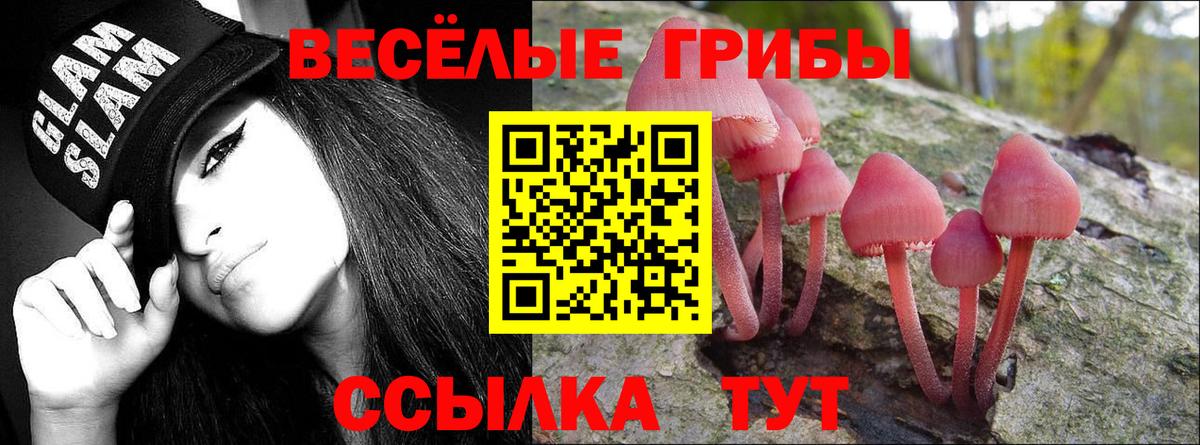 Псилоцибиновые грибы Psilocybine cubensis  Галлюциногенные грибы MAGIC MUSHROOMS  Донецк  Вход с VPN 